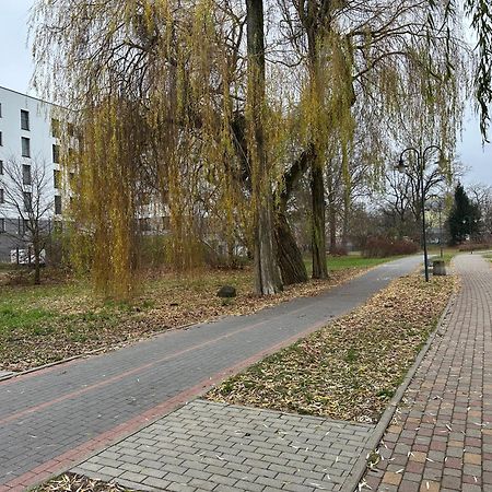 Apartament Kosciuszki 33F Iława Exterior foto